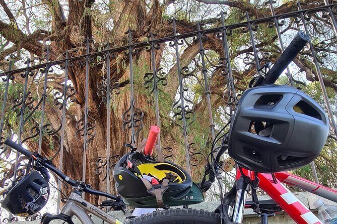 MTB Bike Tour: Monkey Tree + Tule Tree - Group size and guide style: why this feels safer than DIY