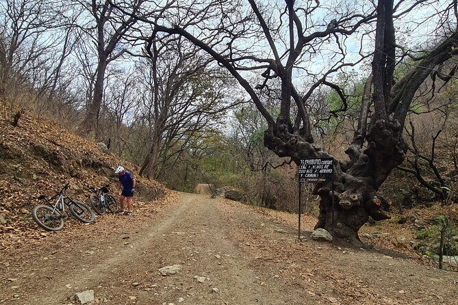 MTB Bike Tour: Monkey Tree + Tule Tree - Time plan: when you’ll feel the day’s effort