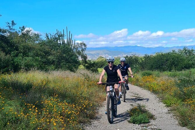 MTB Bike Tour: Monkey Tree + Tule Tree - Bike Flow Oaxaca: what the setup seems built for