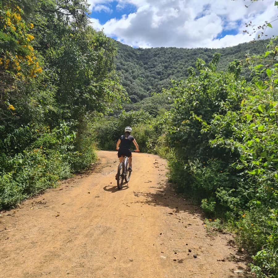 MTB Bike tour to the Monkey Tree + Bread Maker & Tule tree - Key Points That Make This Tour Worth Your Time