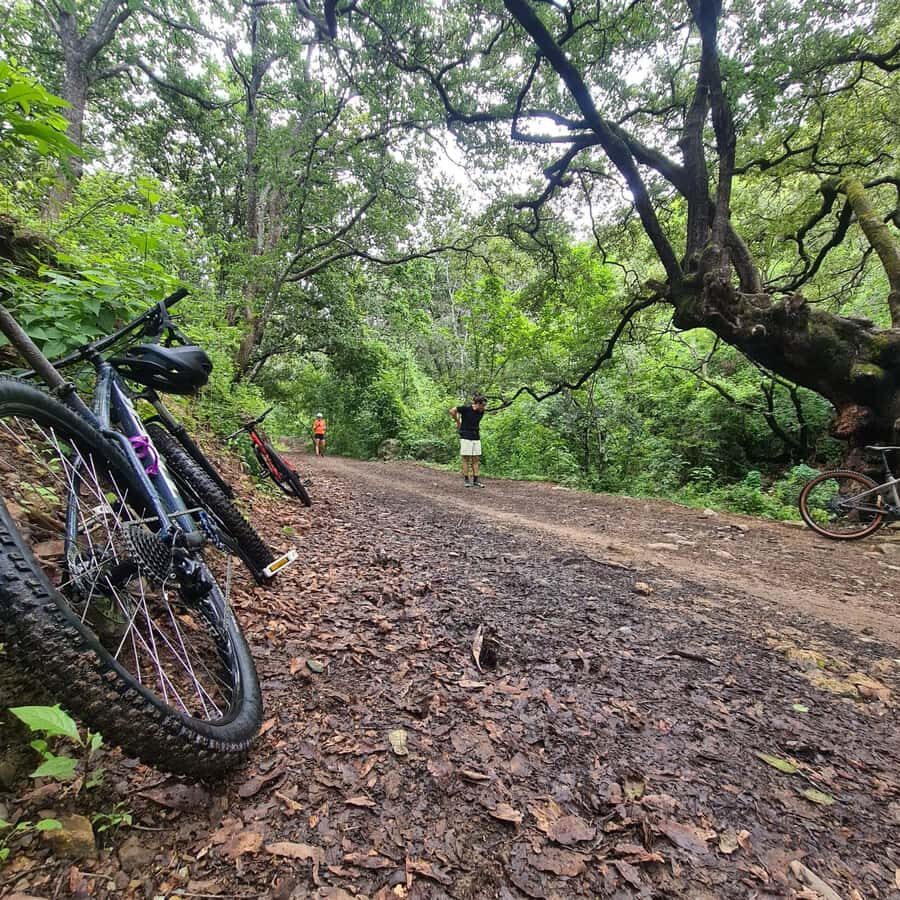 MTB Bike tour to the Monkey Tree + Bread Maker & Tule tree - Starting Point in Oaxaca City: Getting on Trail Fast