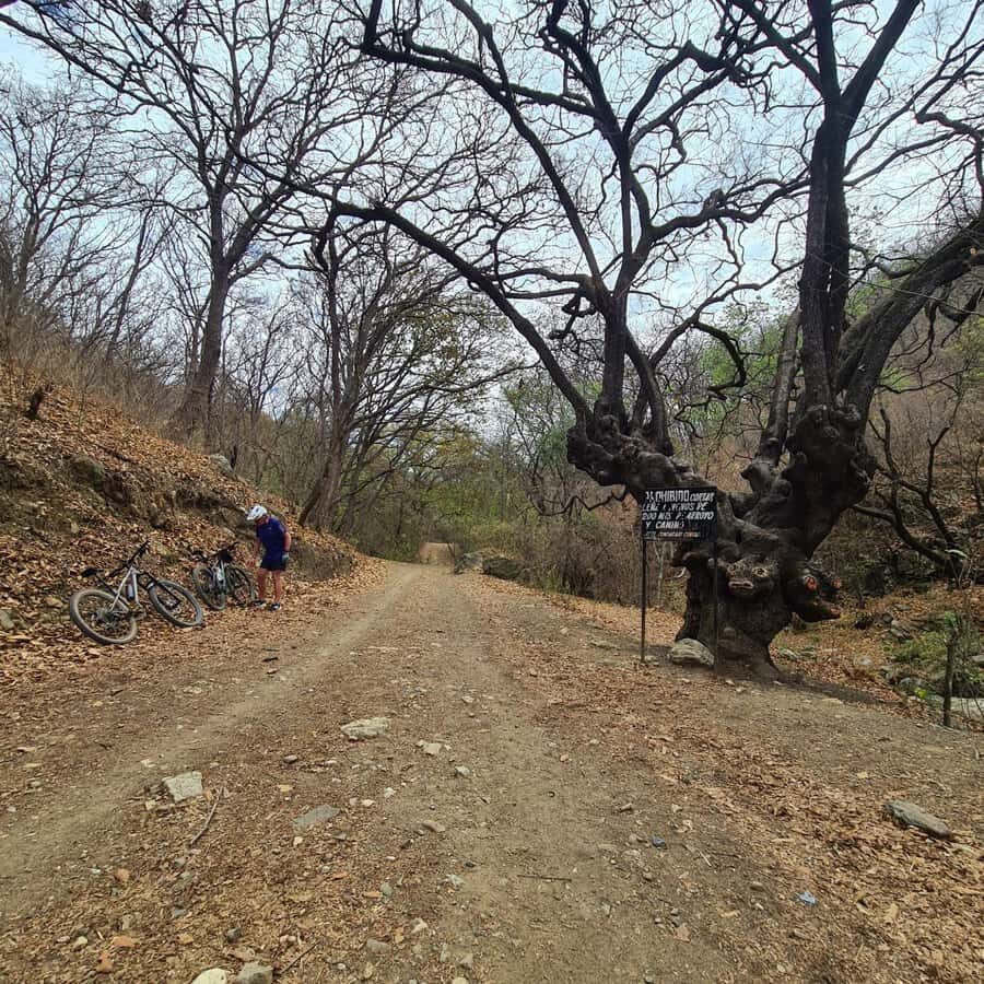 MTB Bike tour to the Monkey Tree + Bread Maker & Tule tree - Return Ride: Mostly Descent, Plus an Oasis-Feel Water Stop