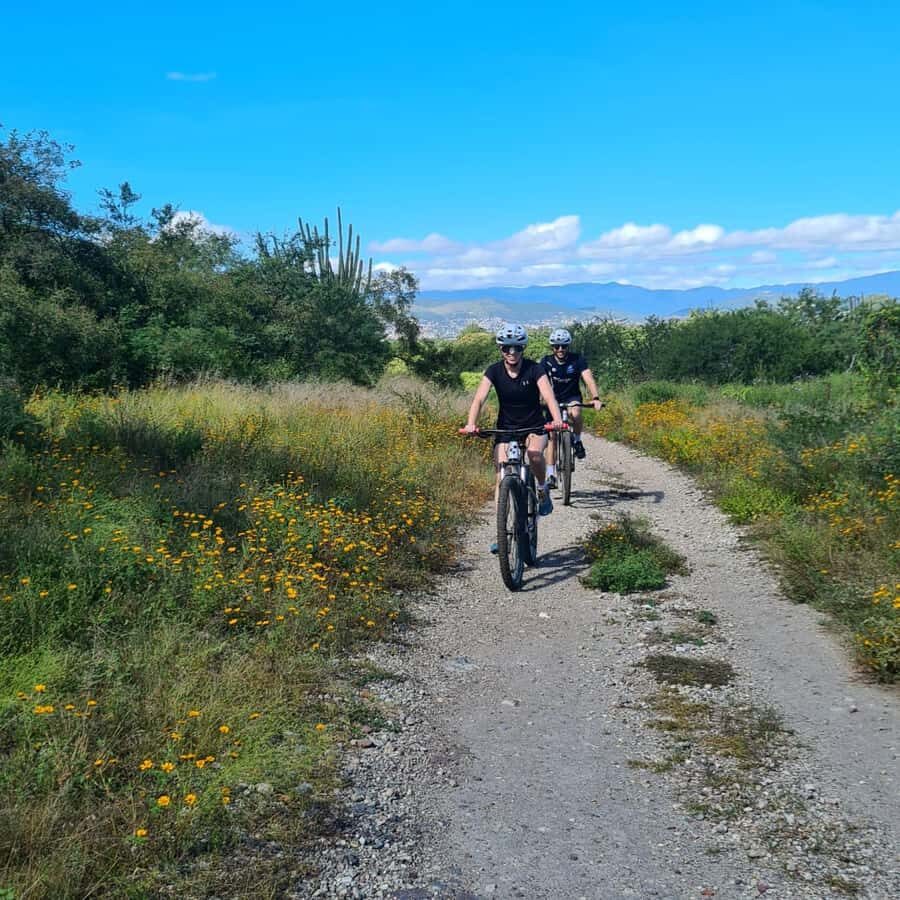 MTB Bike Tour: Tule Tree through the country-side - From Bike Flow to the open countryside: how the ride starts