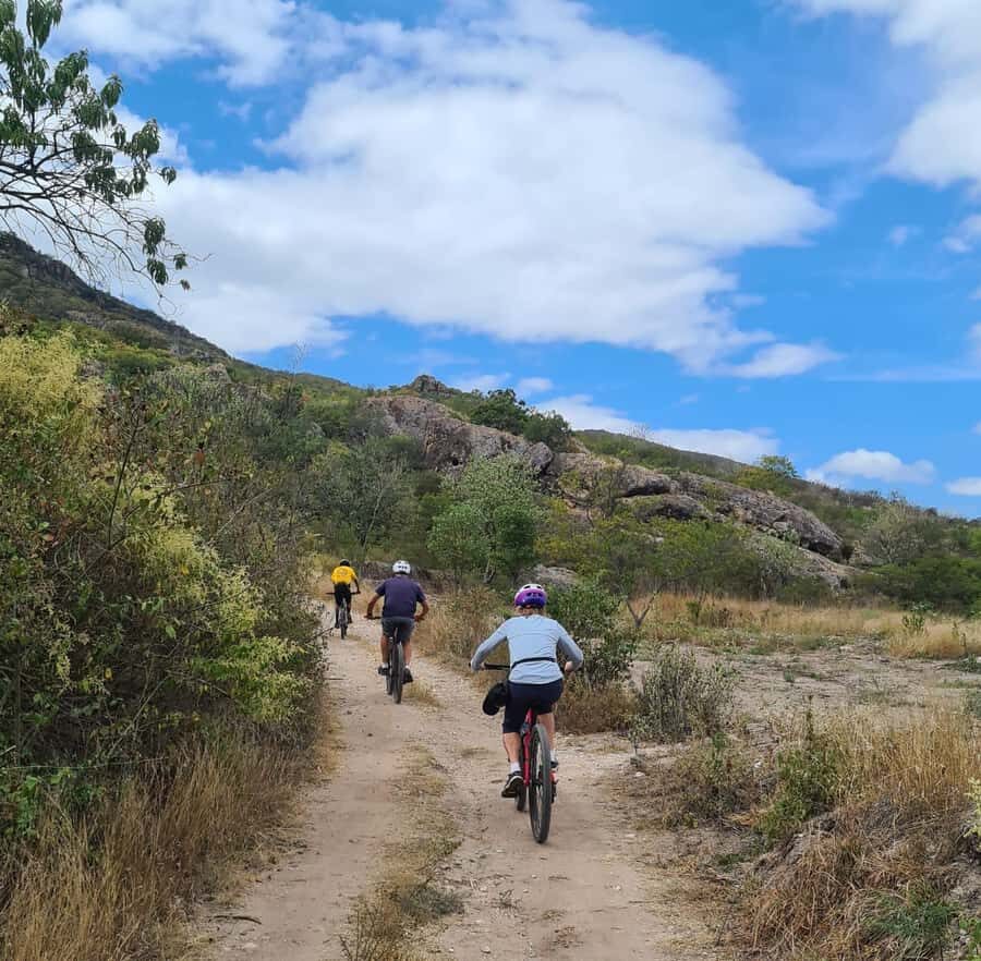 MTB Bike Tour: Tule Tree through the country-side - Viewpoint time in the Central Valleys: the reward for climbing