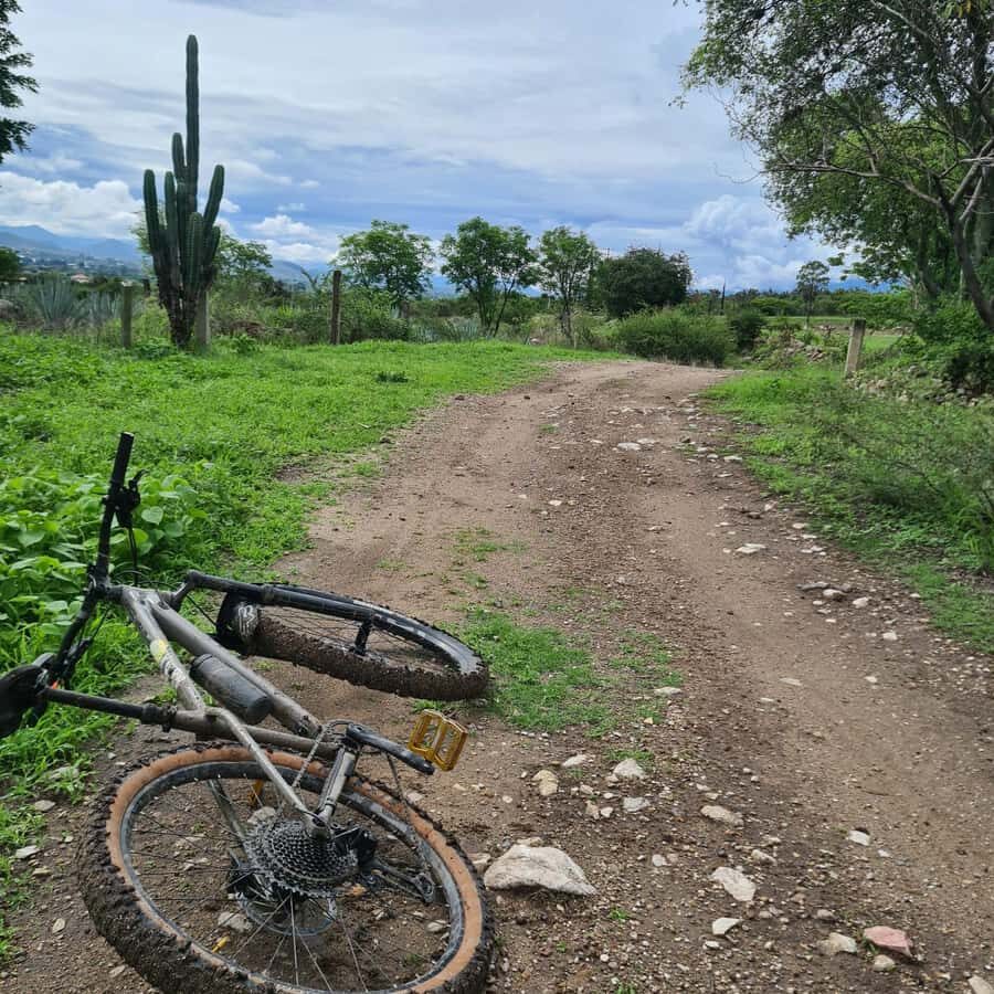 MTB Bike Tour: Tule Tree through the country-side - Secret stop vibes: countryside riding with wildlife potential
