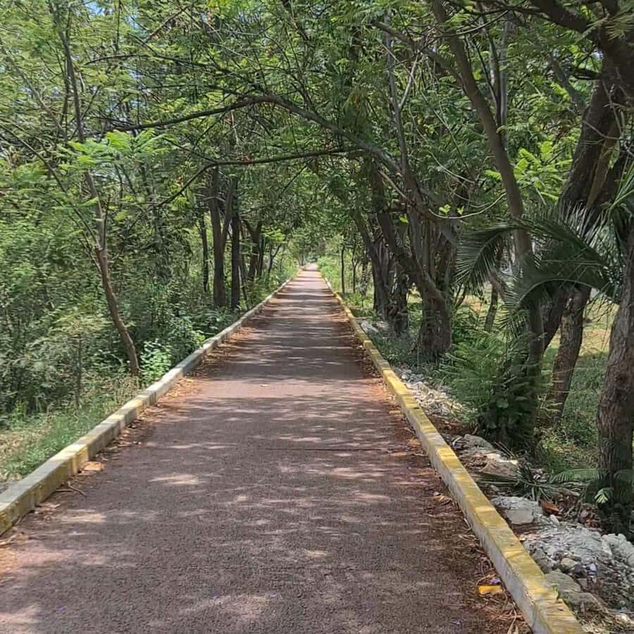 MTB Bike Tour: Tule Tree through the country-side - Santa María del Tule: town time before you meet the Tule Tree