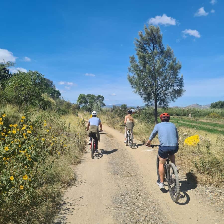MTB Bike Tour: Tule Tree through the country-side - Tejate and nieve: what to do with your short market break