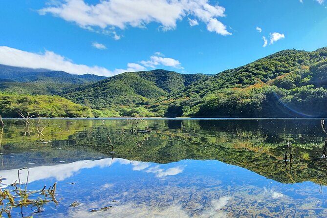 MTB Guided Ride, Tule Tree & Lake Half-Day - From downtown Oaxaca to two major nature stops, in one MTB half-day