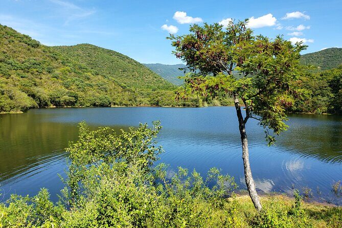 MTB Guided Ride, Tule Tree & Lake Half-Day - Meeting at 8:00: where the ride starts and what happens before you roll