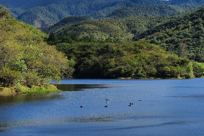 MTB Guided Ride, Tule Tree & Lake Half-Day - Santo Domingo Tomaltepec: the ride out and the village square pause