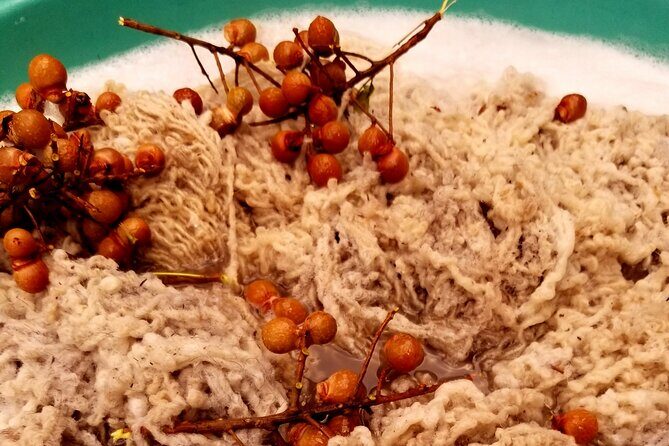 Natural Dyeing and Organic Weaving Workshop in Oaxaca - The Opening Ritual: Herbs, Copal, and Calm Focus