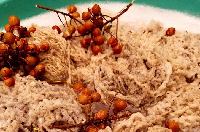 Natural Dyeing and Organic Weaving Workshop in Oaxaca - Wool and Threads: How Natural Materials Get Ready
