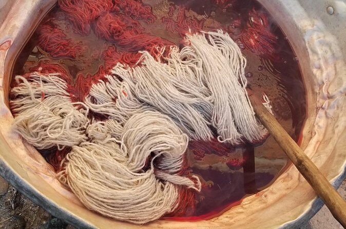 Natural Dyeing and Organic Weaving Workshop in Oaxaca - Carrizo Reed Loom Tubes: Seeing the Structure Up Close