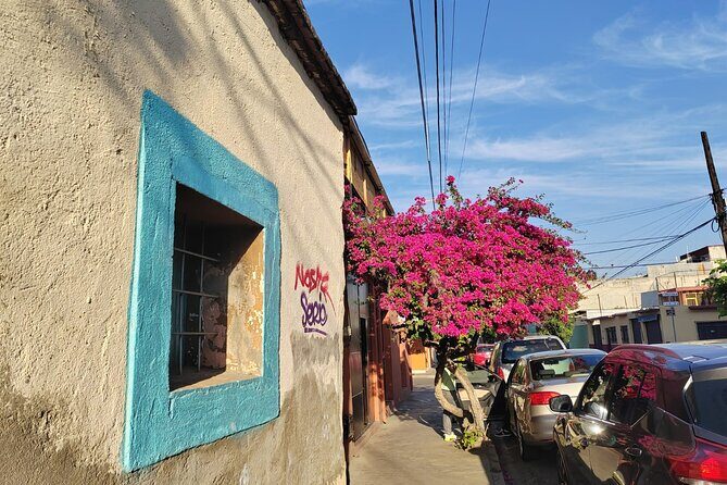 Oaxaca: Beyond the surface - Where This Walk Fits in Your Oaxaca Trip