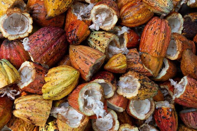 Oaxaca: Chocolate and Ancestral Drinks Tour - Price and time: is $46 for 1 hour good value?
