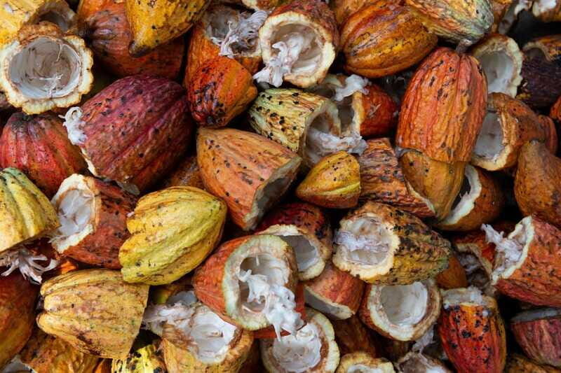 Oaxaca: Chocolate and Ancestral Drinks Tour - The chocolate class: learning the craft without feeling rushed