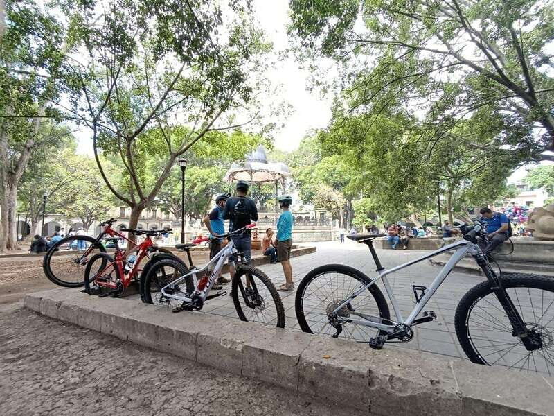 Oaxaca City: Bike Tour with Professional Guide+Art workshop - Key highlights worth getting excited about