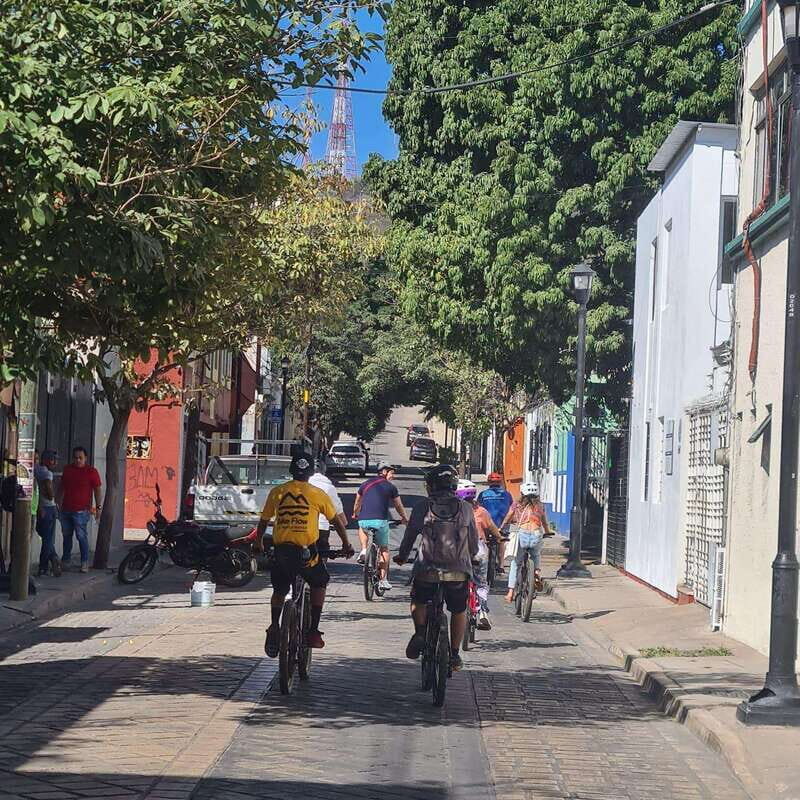 Oaxaca City: Bike Tour with Professional Guide+Art workshop - Should you book this Oaxaca City bike tour?