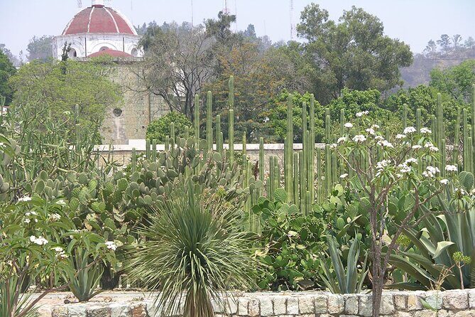 Oaxaca City tour - Santo Domingo museum & the colorful market - Oaxaca Cathedral of Our Lady of the Assumption: centuries you can measure