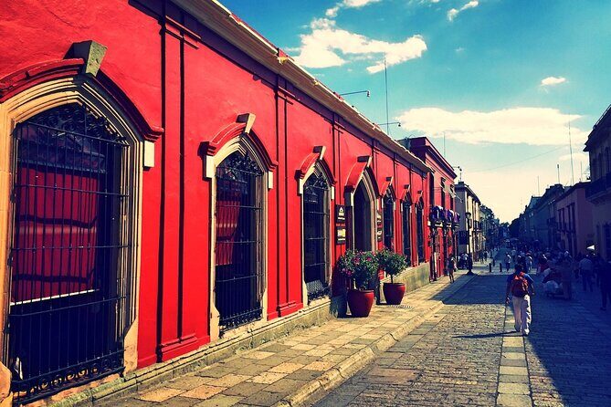 Oaxaca City tour - Santo Domingo museum & the colorful market - Who this tour suits best