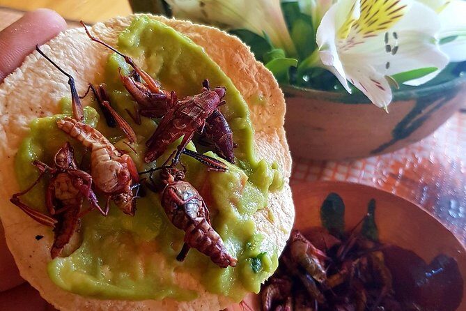 Oaxaca Conmigo Private Tours - Mitla architecture plus the Mitla caves hike (symbol-filled stops)