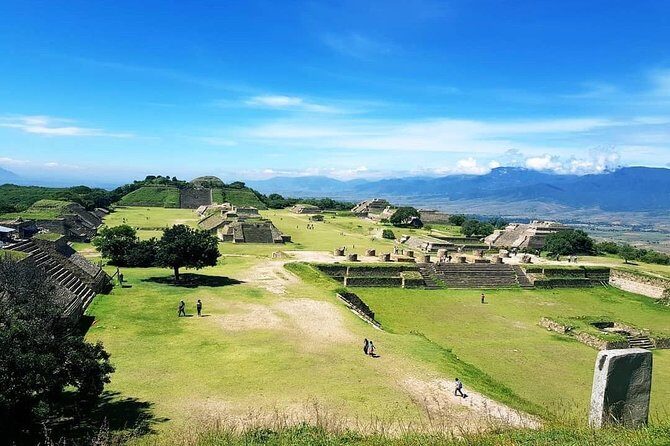 Oaxaca Conmigo Private Tours - Mezcal distillery stops and market-day food (Tlacolula Sunday, Ocotlán Friday)