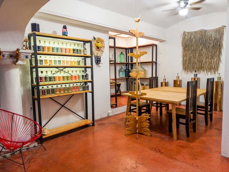 Oaxaca: Discover Mezcal History and Culture with a Tasting - What makes this experience feel different