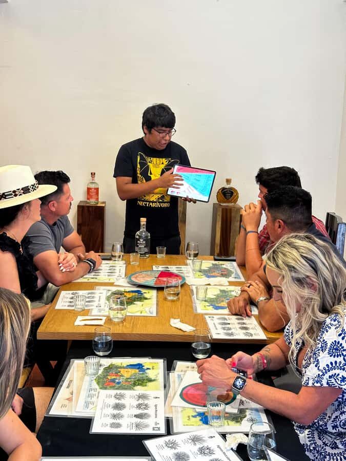 Oaxaca: Discover Mezcal History and Culture with a Tasting - Key points you’ll care about