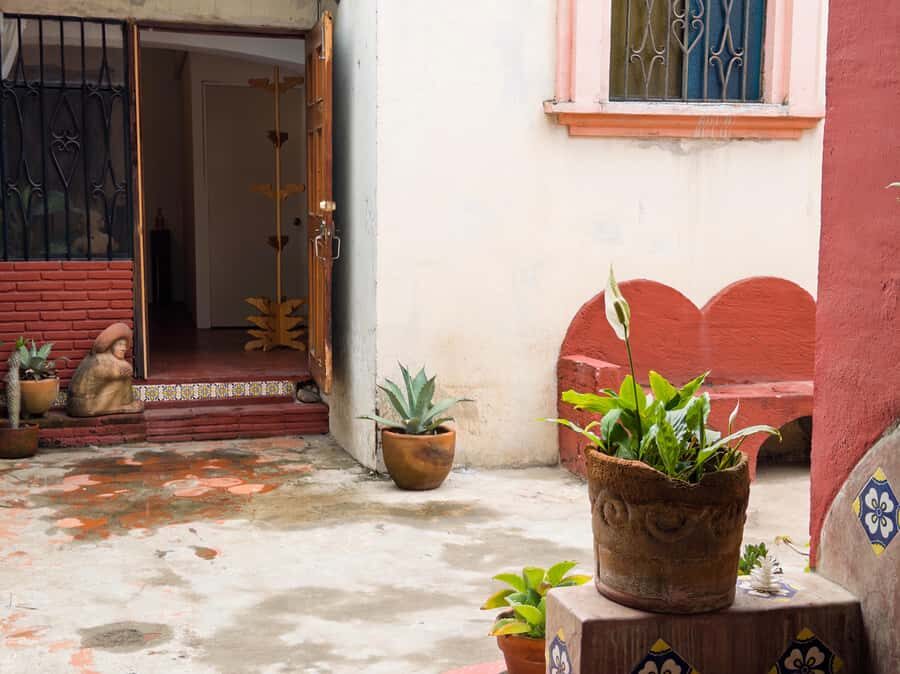 Oaxaca: Discover Mezcal History and Culture with a Tasting - From agave to bottle: the production lesson that sharpens your tasting