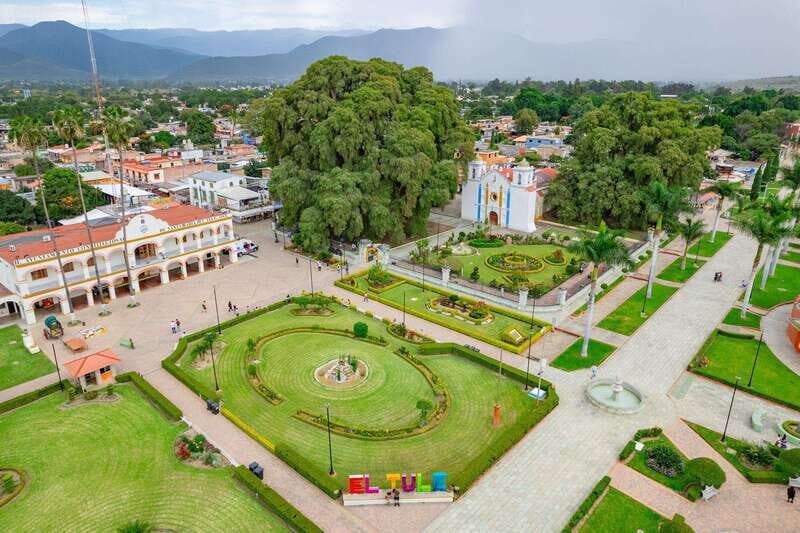 Oaxaca: El Tule tree, Teotitlan Village & Mezcal Tour - Key highlights at a glance