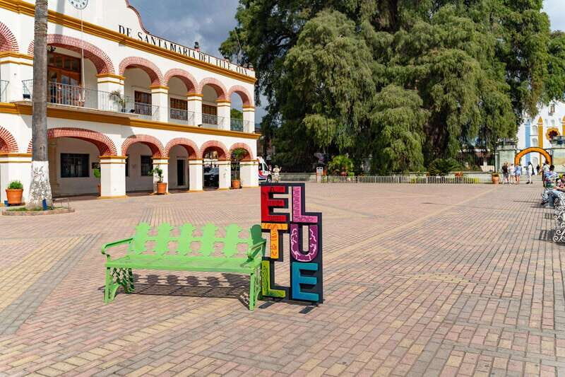 Oaxaca: El Tule tree, Teotitlan Village & Mezcal Tour - Tree of Tule: the thickest stop on your Oaxaca checklist