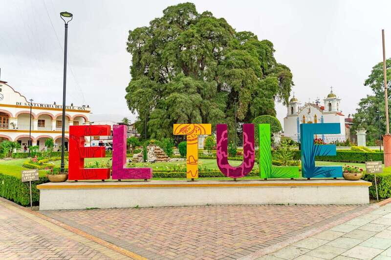 Oaxaca: El Tule tree, Teotitlan Village & Mezcal Tour - Santa María del Tule in 30 minutes: what to actually look for