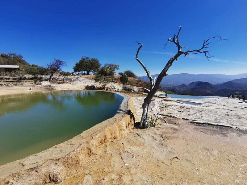 Oaxaca: Full Day Guided Tour on the Hierve el Agua Route - Hierve el Agua Petrified Waterfalls: Views, Stairs, and Pool Time