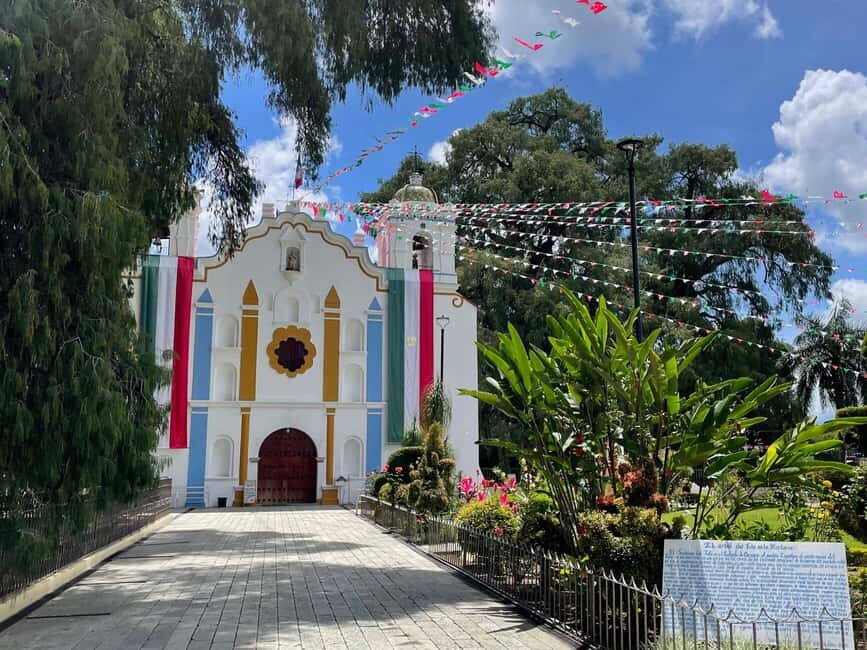 Oaxaca: Guided Bike Tour to the Largest Tree in the World - The Tree of Tule experience: a guided walk that makes the sight stick