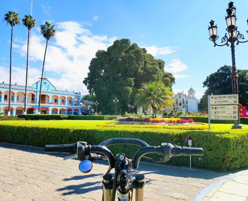 Oaxaca: Guided Bike Tour to the Largest Tree in the World - Price and value: what you’re really paying for at $25