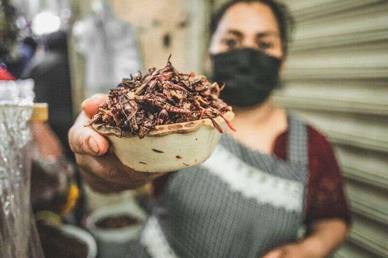 Oaxaca Markets Food Tour - How the guide and women-led stops change the whole experience