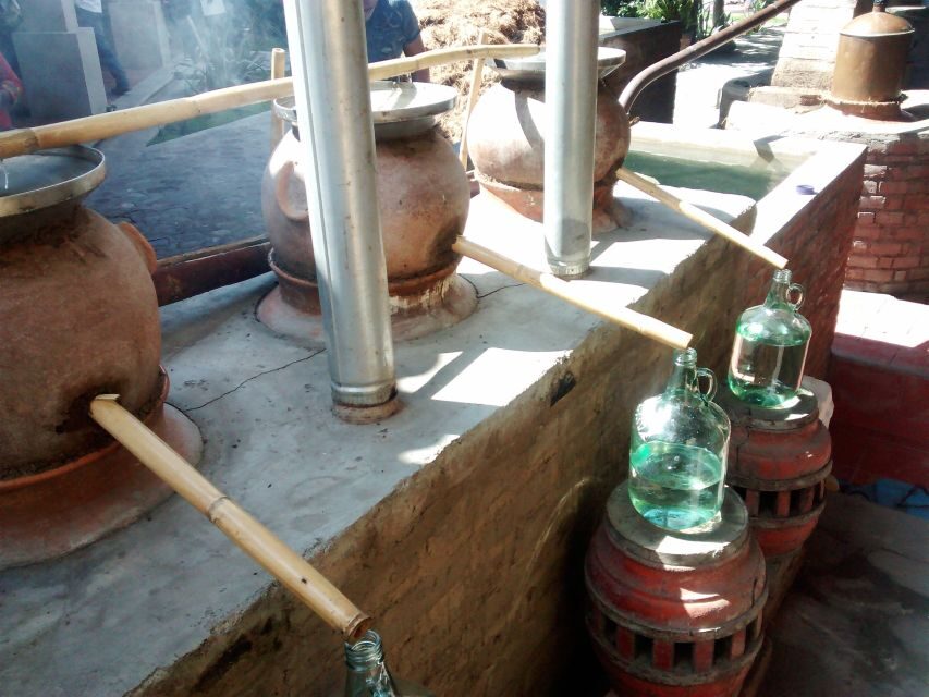 Oaxaca: Mezcal Adventure - How the Tastings Work (and What to Pay Attention To)