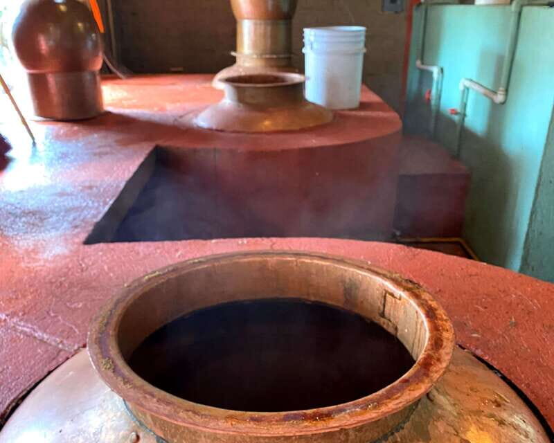 Oaxaca: Mezcal Adventure - Price and Value: Why This Is More Than a Sampling Session