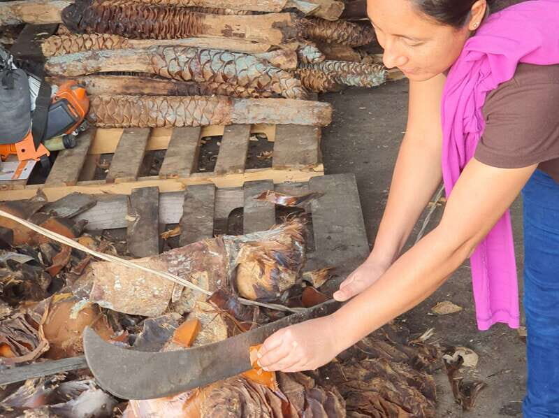 Oaxaca: Mezcal Adventure - Who This Tour Suits Best (and Who Should Skip It)