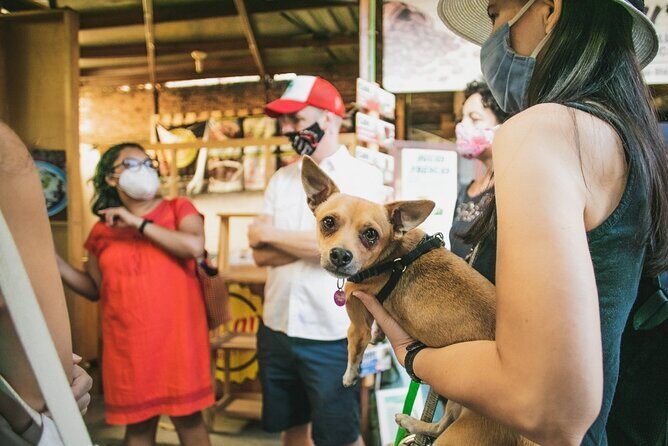 Oaxaca Street Food Tour. Signature Markets Tour - Starting in Centro: Meeting Point and the smart way to plan your morning
