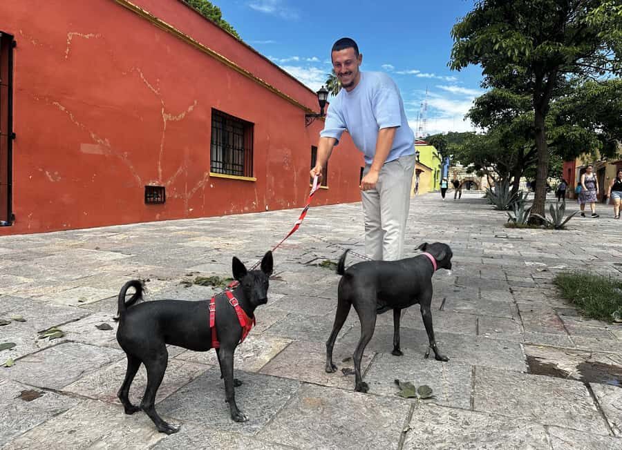 Oaxaca: Taste Mole & Authentic Mexican Flavors - Oaxaca’s Chocolate Stops: From Street Bites to Cacao Brews