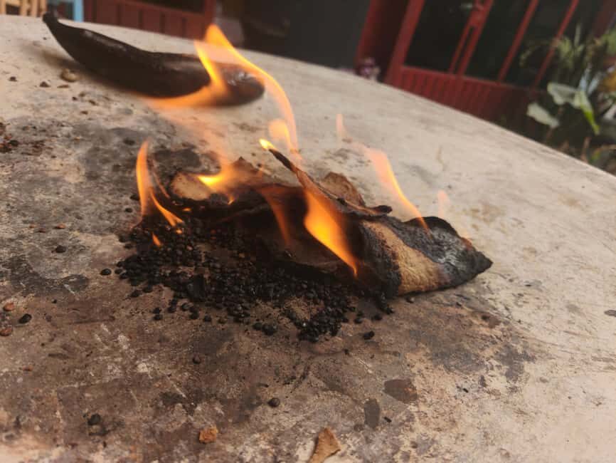 Oaxaca: Traditional Oaxacan Cooking Class - Practical tips so your day goes smoothly
