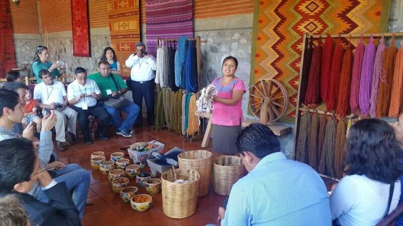 Oaxaca: Tule, Mitla & Hierve el Agua, & Mezcal Tour - Hotel pickup and the easy start from Oaxaca