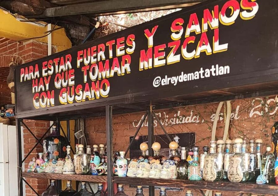 Oaxaca: Tule, Mitla & Hierve el Agua, & Mezcal Tour - Mezcal at El Rey de Matatlán: tasting agave to bottle