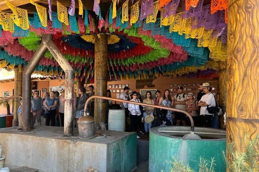 Oaxaca: Tule Tree, Teotitlán, Mitla and Hierve el Agua Tour - Mezcal factory visit: watch the process, then keep your control of the day
