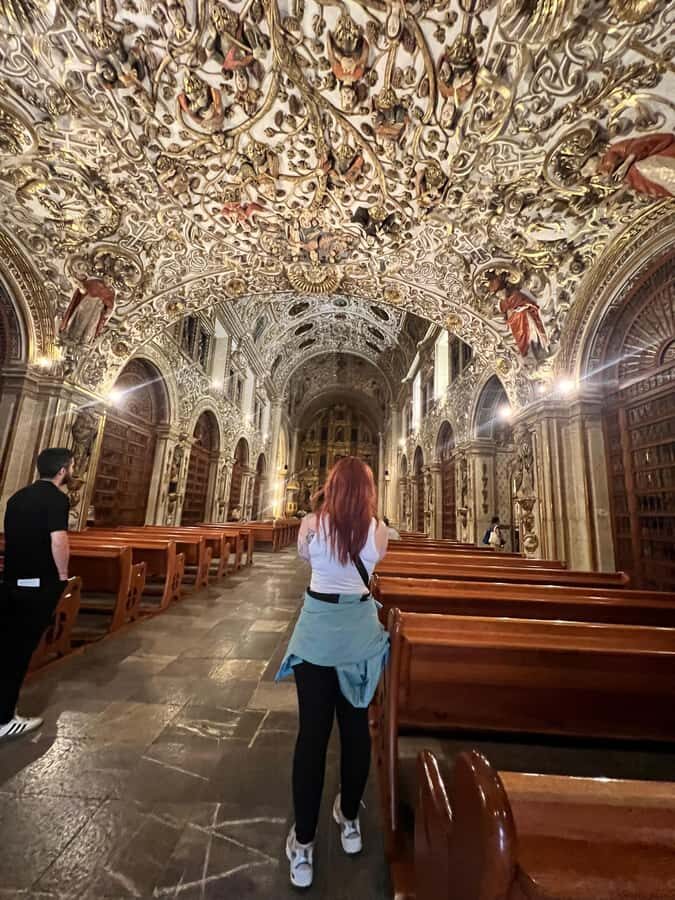 Oaxaca Walking Tour - Price and logistics: what $20 gets you in 2 hours