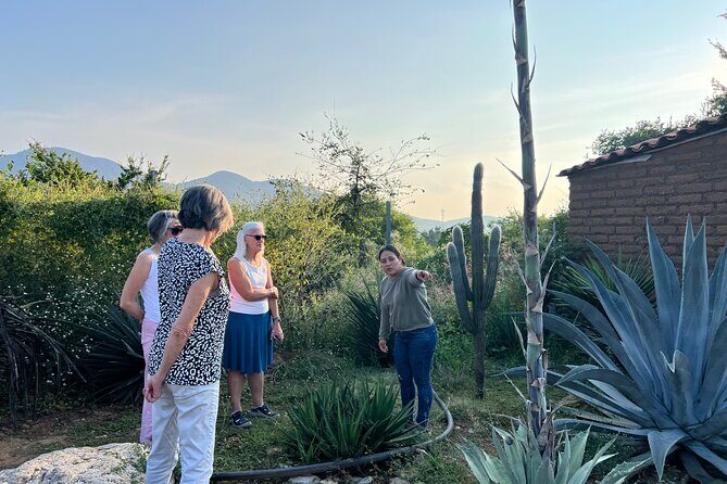 Oaxaca Women Private Tour - Stop 1: San Martín Tilcajete for alebrijes and copal cleansing