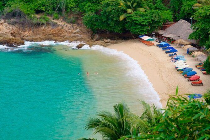 One Day from Oaxaca Getaway to Puerto Escondido - Puerto Escondido by boat: beaches, turtles, and dolphins (when nature cooperates)