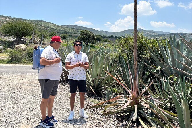 One day trip : Mezcal, Tlayudas & Textil - Who This Tour Fits Best