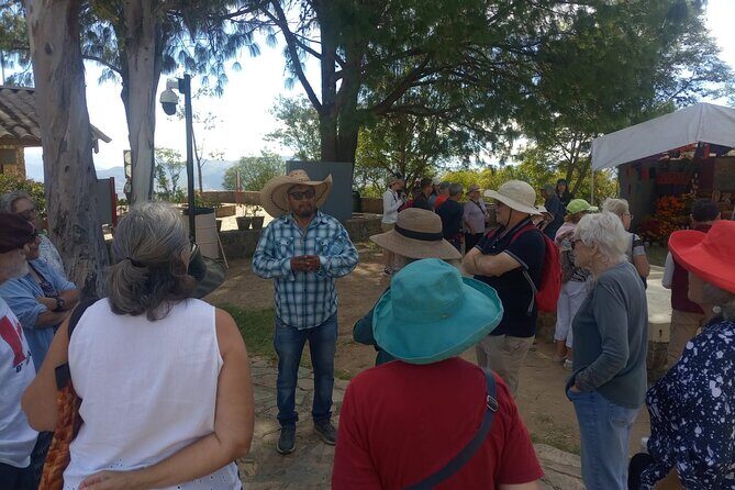 Only Monte Albán Tour - The core of the experience: a full guided circuit at Monte Albán